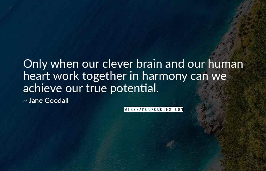 Jane Goodall Quotes: Only when our clever brain and our human heart work together in harmony can we achieve our true potential.