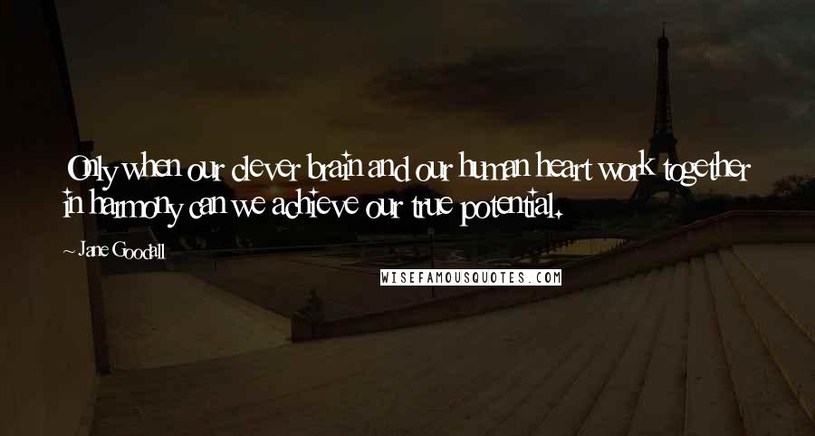 Jane Goodall Quotes: Only when our clever brain and our human heart work together in harmony can we achieve our true potential.