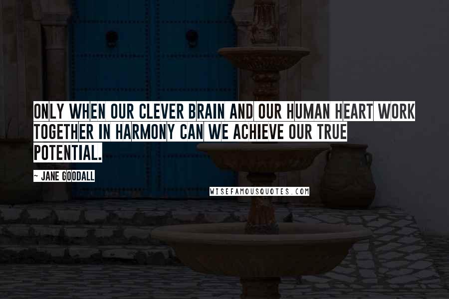 Jane Goodall Quotes: Only when our clever brain and our human heart work together in harmony can we achieve our true potential.