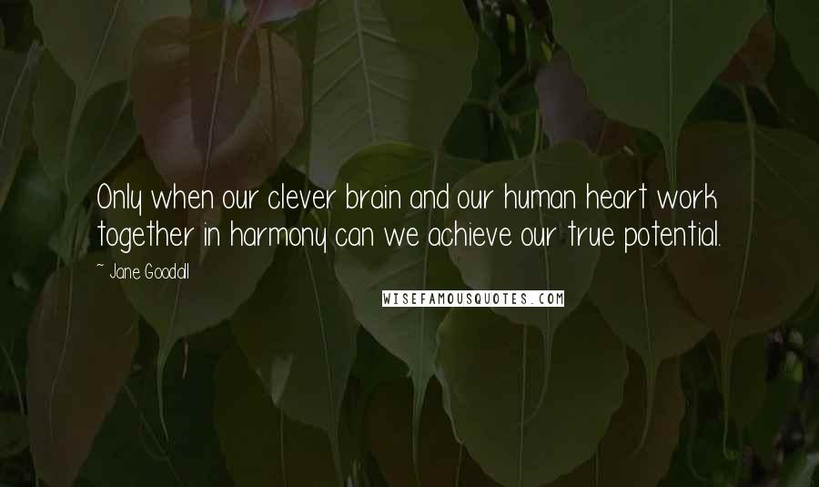 Jane Goodall Quotes: Only when our clever brain and our human heart work together in harmony can we achieve our true potential.