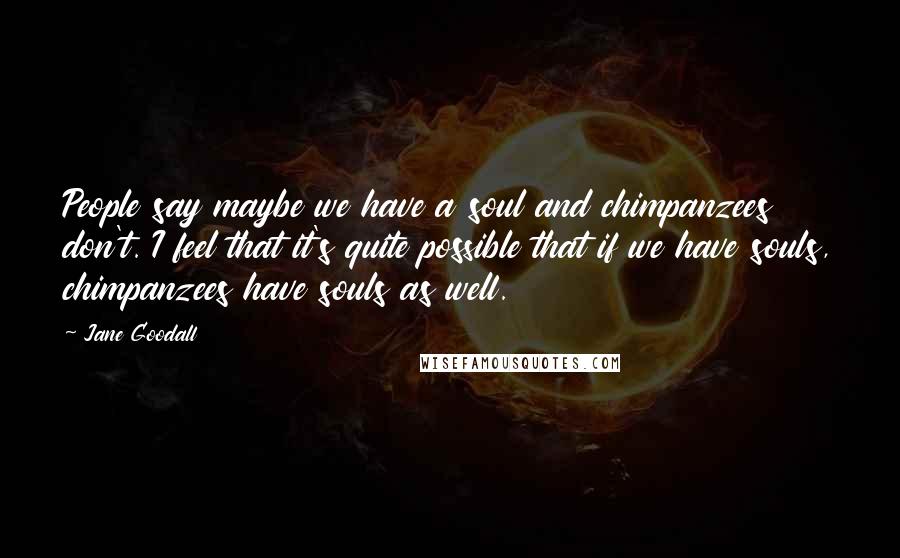 Jane Goodall Quotes: People say maybe we have a soul and chimpanzees don't. I feel that it's quite possible that if we have souls, chimpanzees have souls as well.