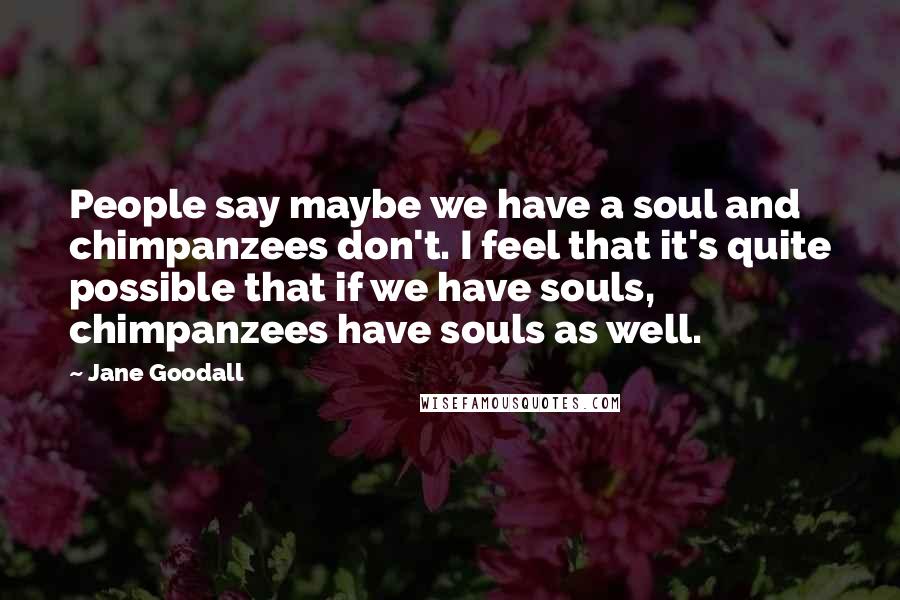 Jane Goodall Quotes: People say maybe we have a soul and chimpanzees don't. I feel that it's quite possible that if we have souls, chimpanzees have souls as well.