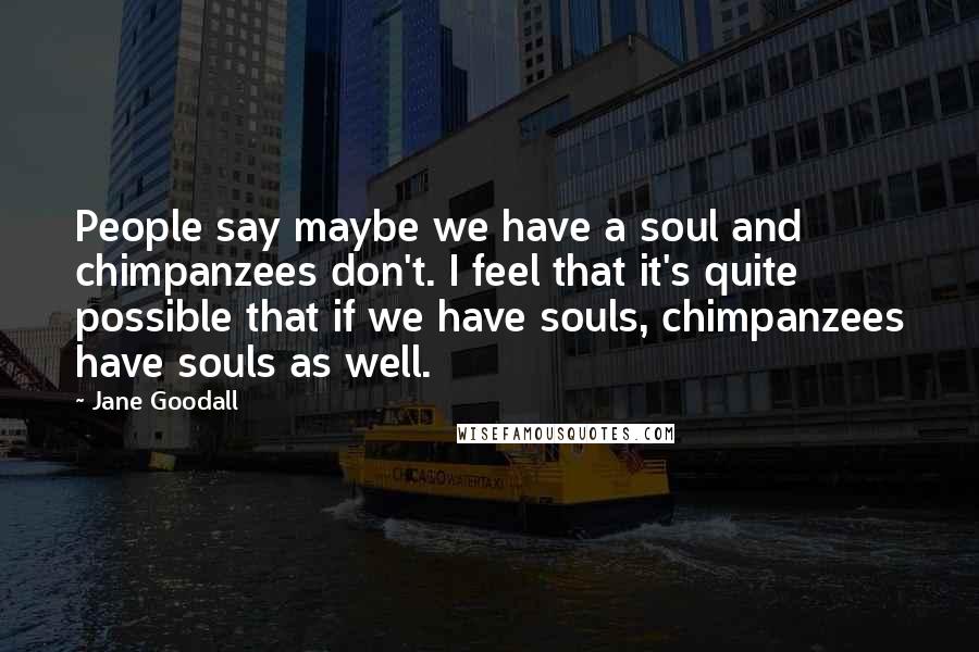 Jane Goodall Quotes: People say maybe we have a soul and chimpanzees don't. I feel that it's quite possible that if we have souls, chimpanzees have souls as well.
