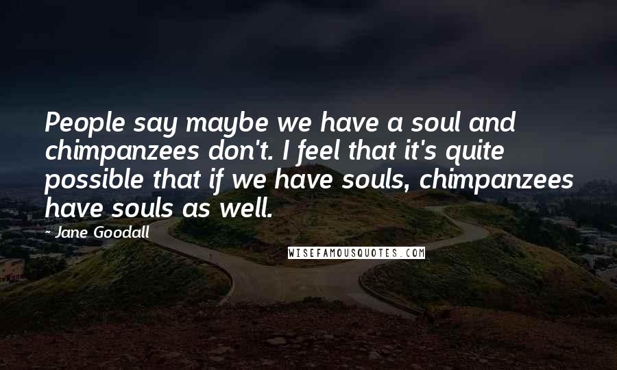 Jane Goodall Quotes: People say maybe we have a soul and chimpanzees don't. I feel that it's quite possible that if we have souls, chimpanzees have souls as well.
