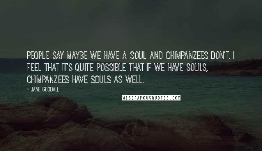 Jane Goodall Quotes: People say maybe we have a soul and chimpanzees don't. I feel that it's quite possible that if we have souls, chimpanzees have souls as well.