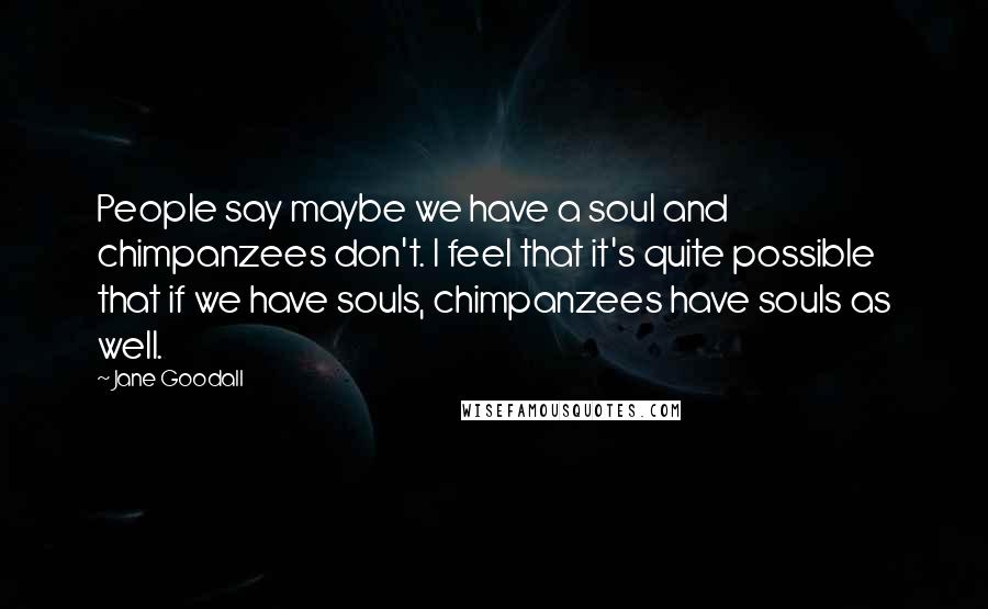 Jane Goodall Quotes: People say maybe we have a soul and chimpanzees don't. I feel that it's quite possible that if we have souls, chimpanzees have souls as well.