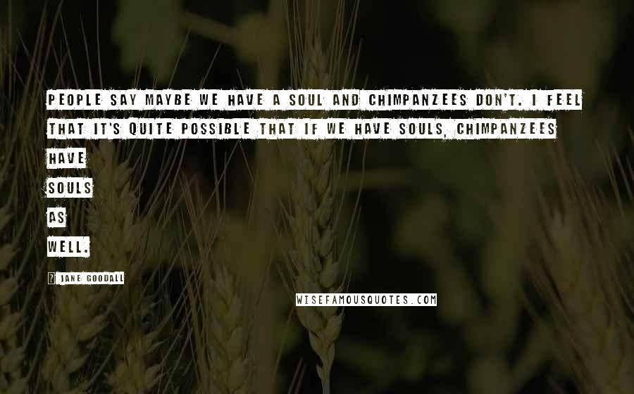 Jane Goodall Quotes: People say maybe we have a soul and chimpanzees don't. I feel that it's quite possible that if we have souls, chimpanzees have souls as well.