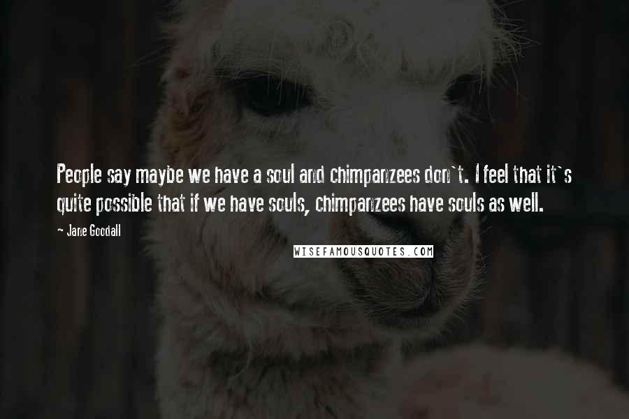 Jane Goodall Quotes: People say maybe we have a soul and chimpanzees don't. I feel that it's quite possible that if we have souls, chimpanzees have souls as well.