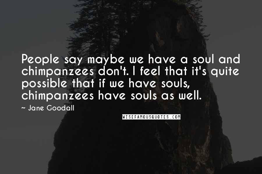 Jane Goodall Quotes: People say maybe we have a soul and chimpanzees don't. I feel that it's quite possible that if we have souls, chimpanzees have souls as well.