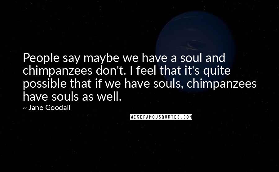 Jane Goodall Quotes: People say maybe we have a soul and chimpanzees don't. I feel that it's quite possible that if we have souls, chimpanzees have souls as well.