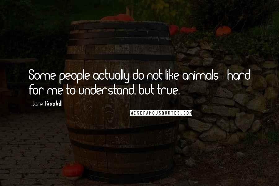Jane Goodall Quotes: Some people actually do not like animals - hard for me to understand, but true.