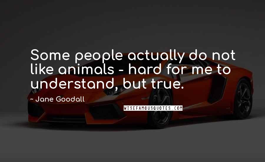 Jane Goodall Quotes: Some people actually do not like animals - hard for me to understand, but true.