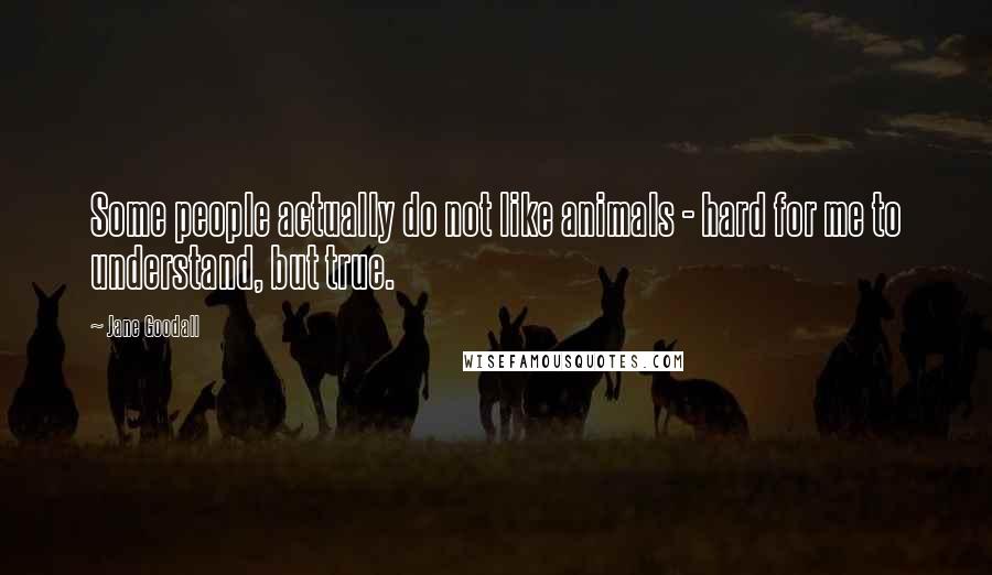 Jane Goodall Quotes: Some people actually do not like animals - hard for me to understand, but true.