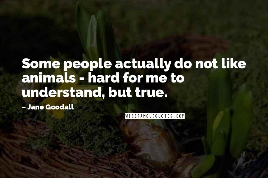 Jane Goodall Quotes: Some people actually do not like animals - hard for me to understand, but true.