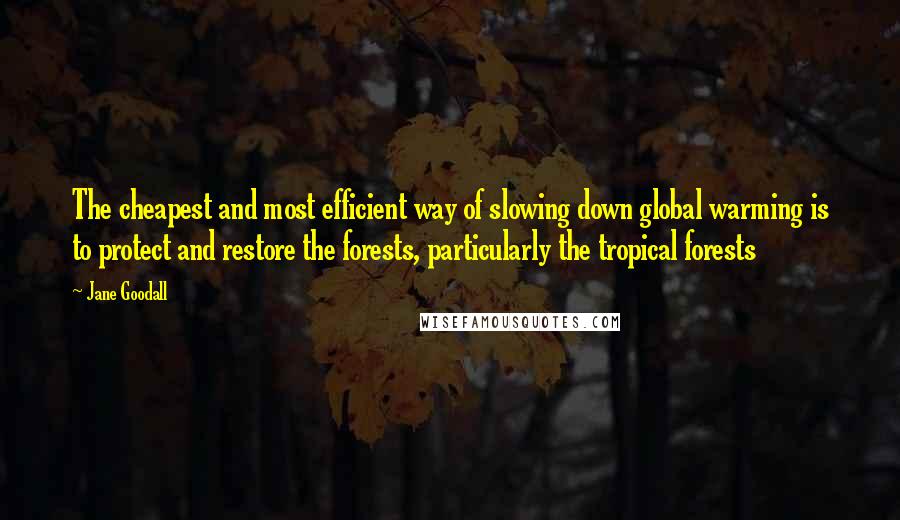 Jane Goodall Quotes: The cheapest and most efficient way of slowing down global warming is to protect and restore the forests, particularly the tropical forests