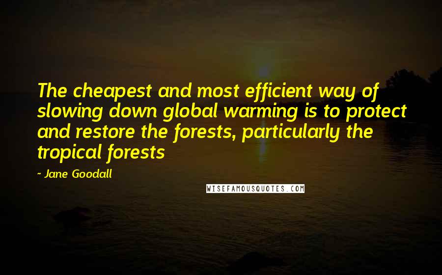 Jane Goodall Quotes: The cheapest and most efficient way of slowing down global warming is to protect and restore the forests, particularly the tropical forests