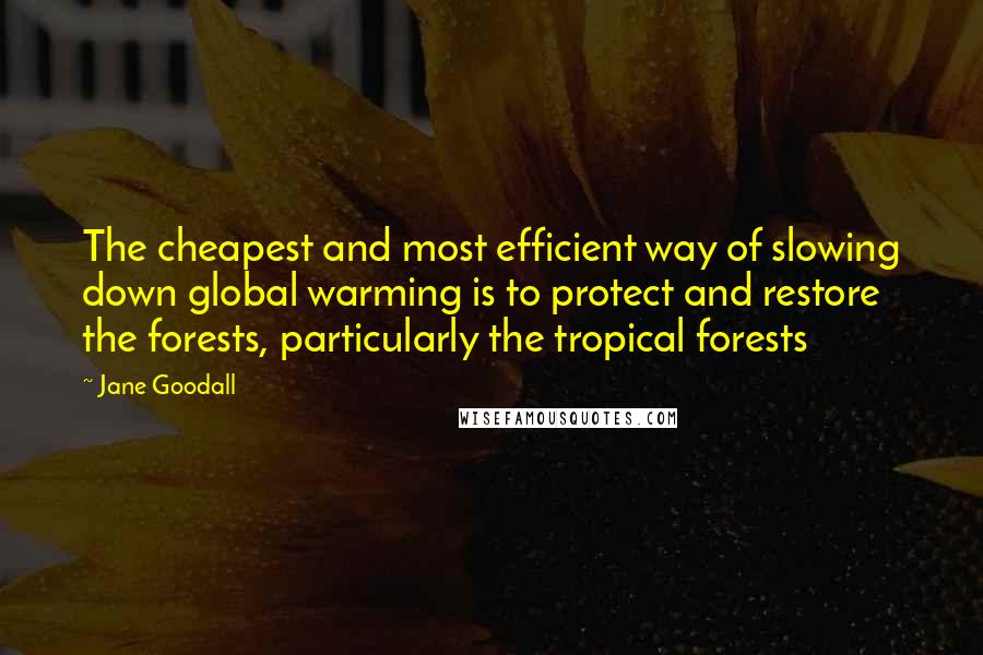 Jane Goodall Quotes: The cheapest and most efficient way of slowing down global warming is to protect and restore the forests, particularly the tropical forests