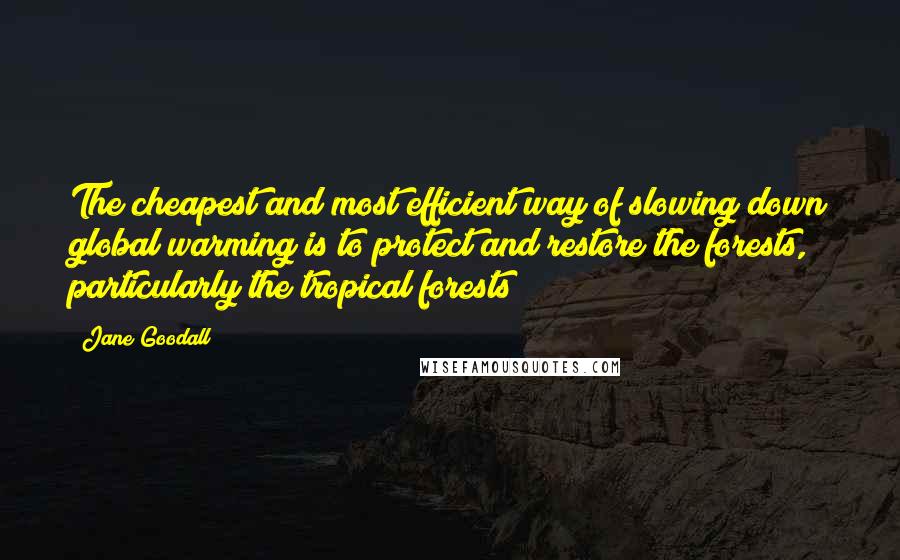 Jane Goodall Quotes: The cheapest and most efficient way of slowing down global warming is to protect and restore the forests, particularly the tropical forests