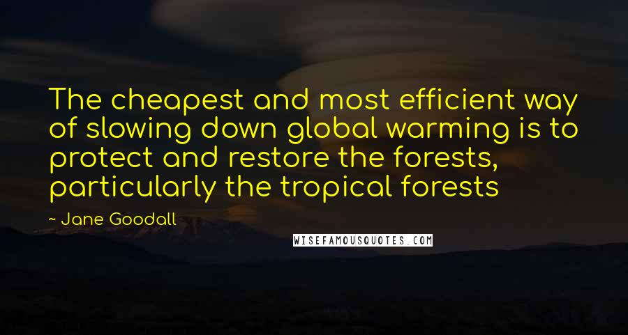 Jane Goodall Quotes: The cheapest and most efficient way of slowing down global warming is to protect and restore the forests, particularly the tropical forests