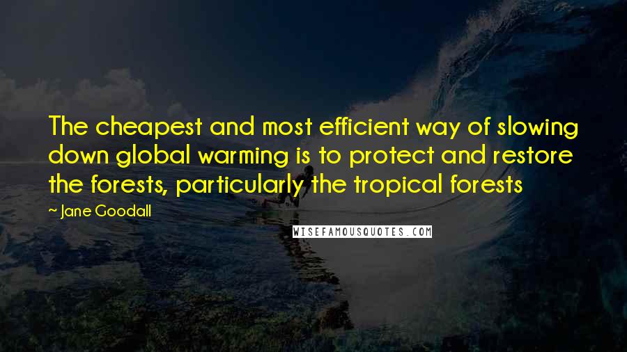 Jane Goodall Quotes: The cheapest and most efficient way of slowing down global warming is to protect and restore the forests, particularly the tropical forests