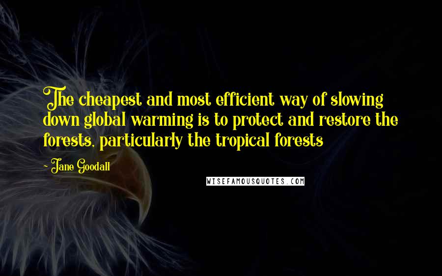 Jane Goodall Quotes: The cheapest and most efficient way of slowing down global warming is to protect and restore the forests, particularly the tropical forests