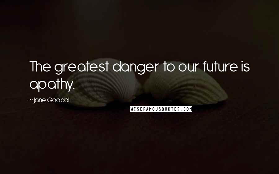 Jane Goodall Quotes: The greatest danger to our future is apathy.