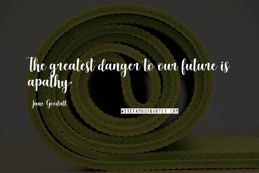 Jane Goodall Quotes: The greatest danger to our future is apathy.