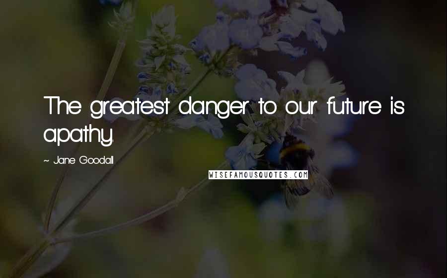 Jane Goodall Quotes: The greatest danger to our future is apathy.