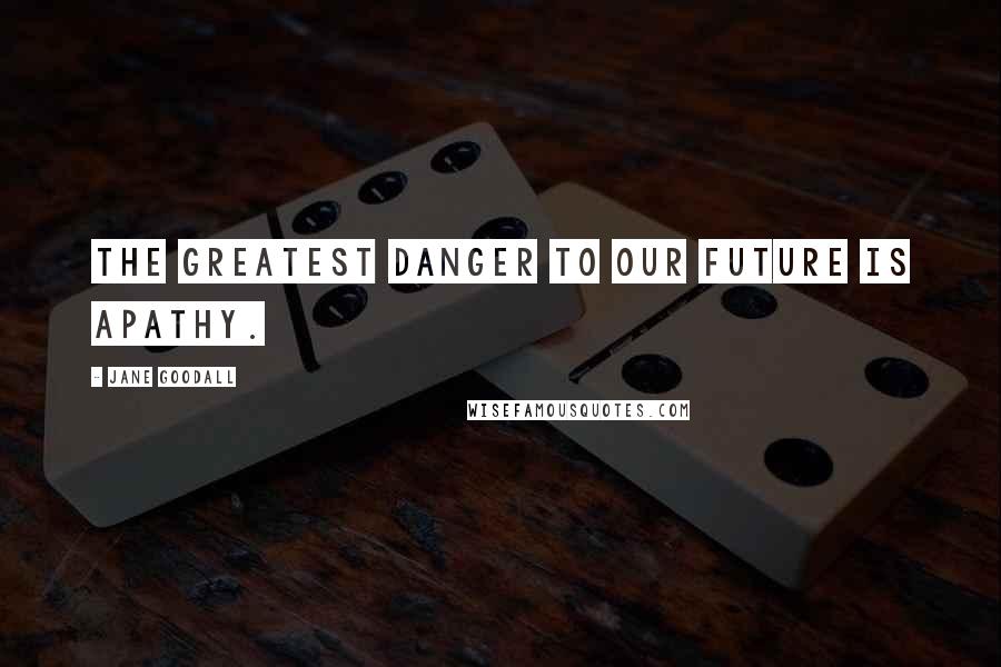 Jane Goodall Quotes: The greatest danger to our future is apathy.