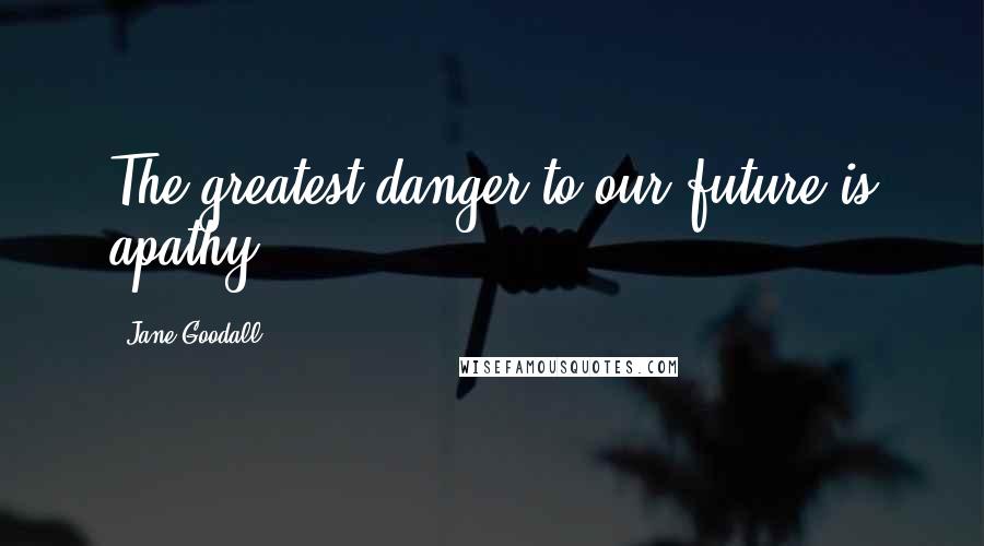 Jane Goodall Quotes: The greatest danger to our future is apathy.
