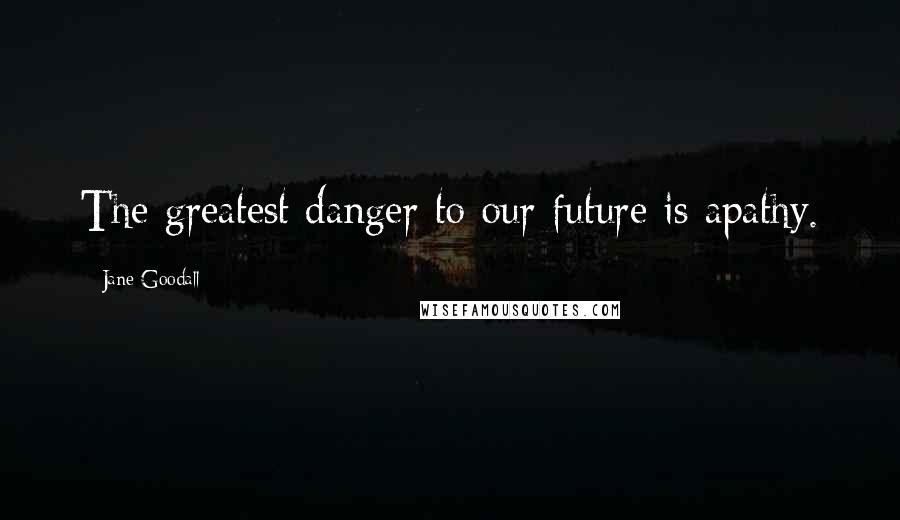 Jane Goodall Quotes: The greatest danger to our future is apathy.