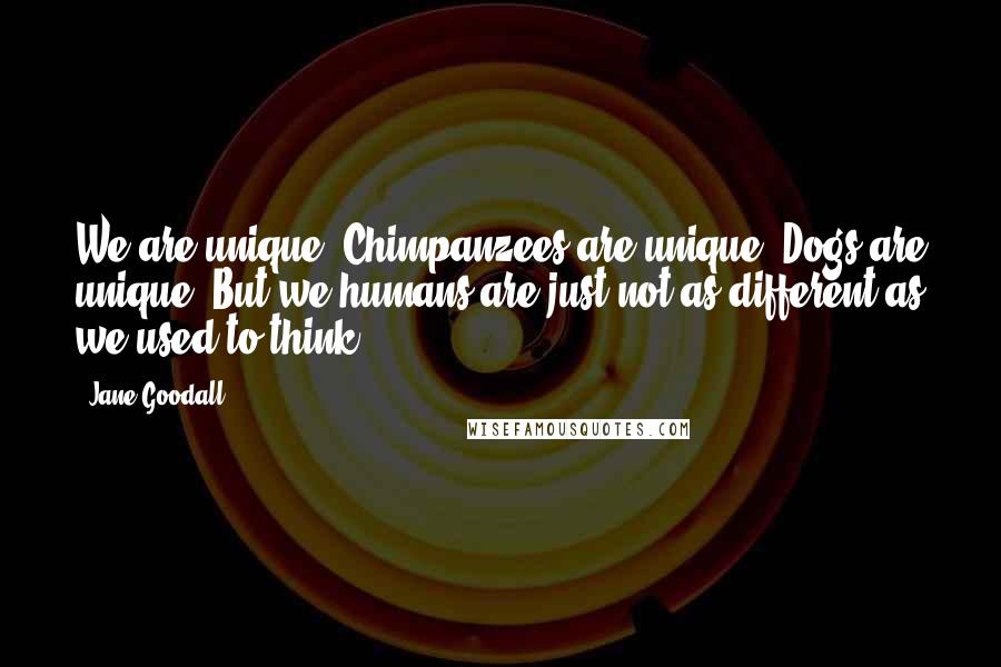 Jane Goodall Quotes: We are unique. Chimpanzees are unique. Dogs are unique. But we humans are just not as different as we used to think.