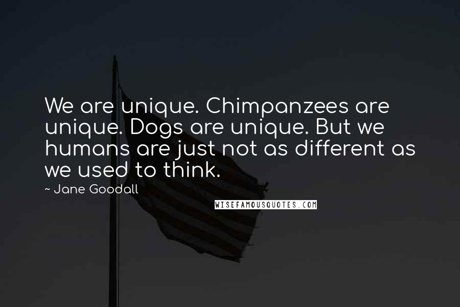 Jane Goodall Quotes: We are unique. Chimpanzees are unique. Dogs are unique. But we humans are just not as different as we used to think.