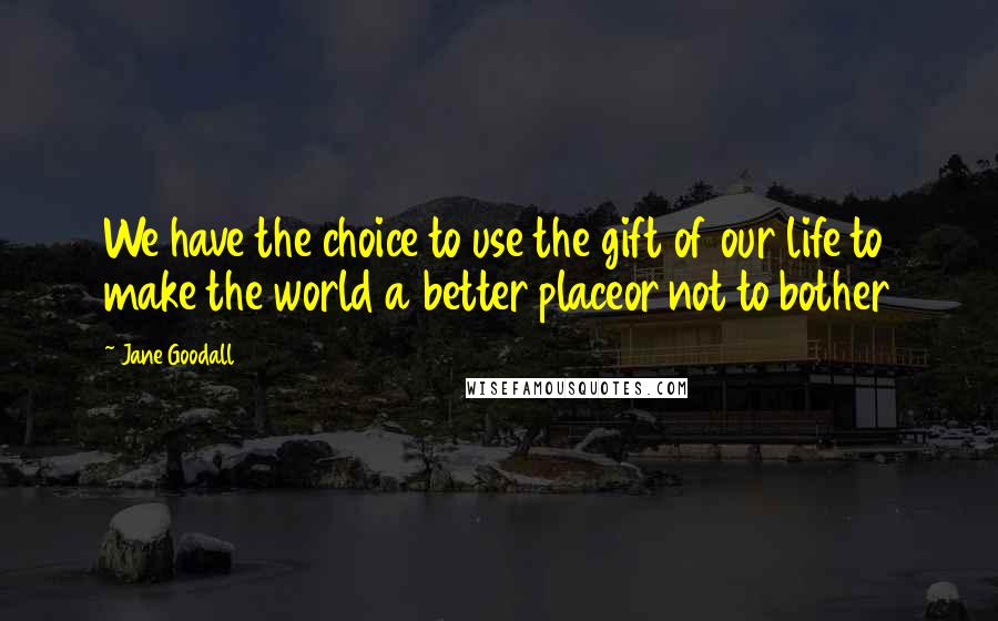 Jane Goodall Quotes: We have the choice to use the gift of our life to make the world a better placeor not to bother