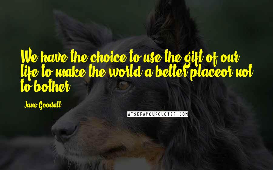 Jane Goodall Quotes: We have the choice to use the gift of our life to make the world a better placeor not to bother