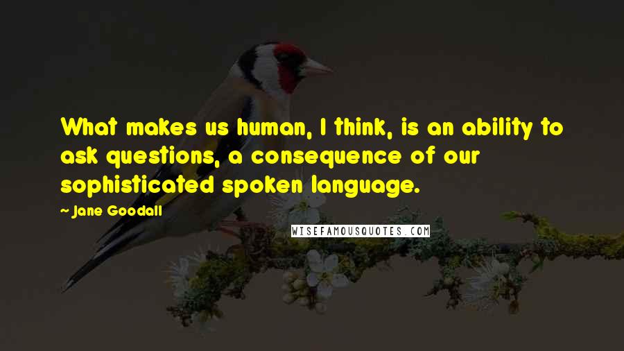 Jane Goodall Quotes: What makes us human, I think, is an ability to ask questions, a consequence of our sophisticated spoken language.