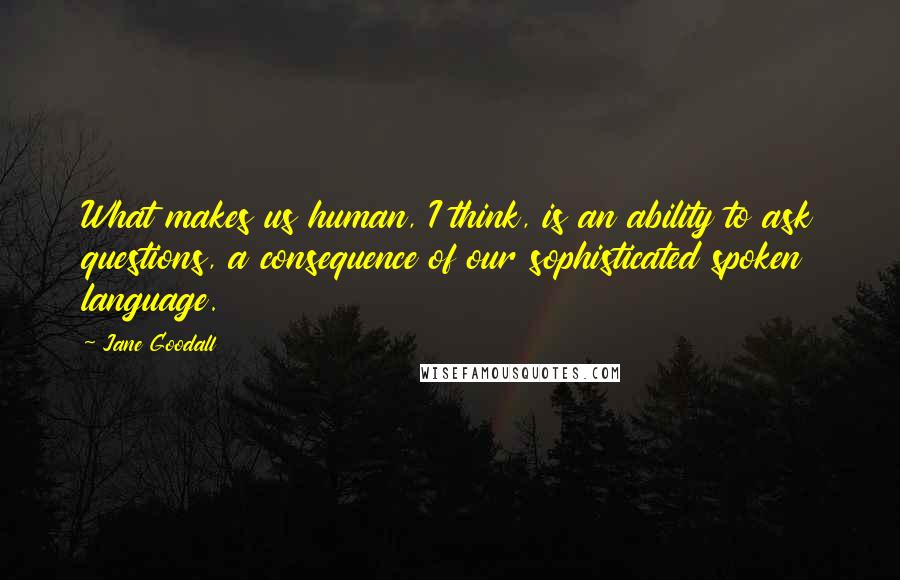 Jane Goodall Quotes: What makes us human, I think, is an ability to ask questions, a consequence of our sophisticated spoken language.