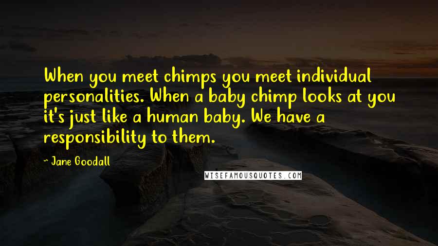 Jane Goodall Quotes: When you meet chimps you meet individual personalities. When a baby chimp looks at you it's just like a human baby. We have a responsibility to them.