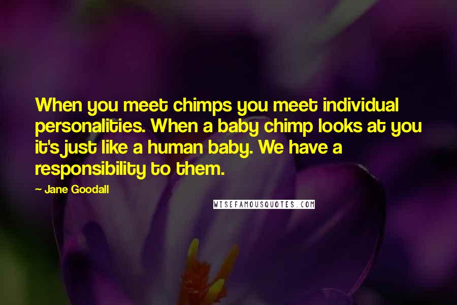 Jane Goodall Quotes: When you meet chimps you meet individual personalities. When a baby chimp looks at you it's just like a human baby. We have a responsibility to them.