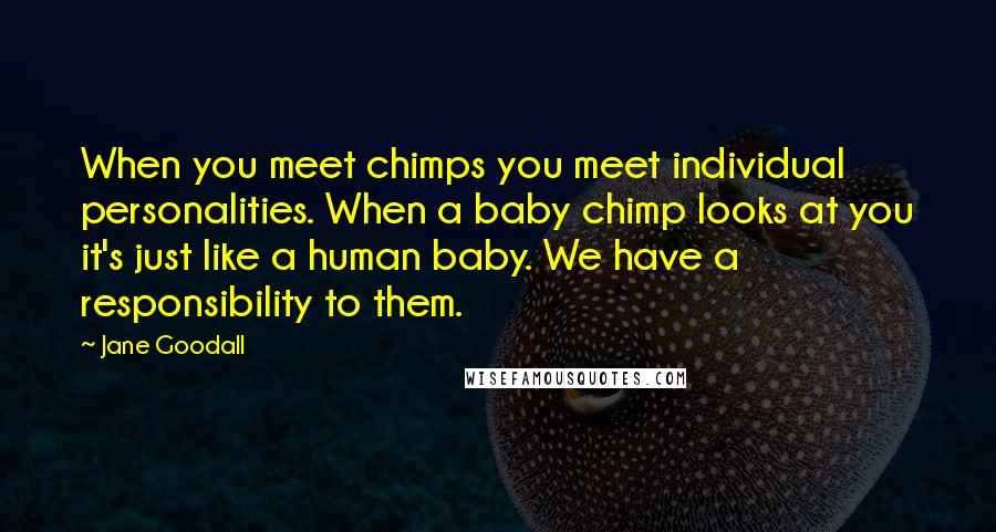 Jane Goodall Quotes: When you meet chimps you meet individual personalities. When a baby chimp looks at you it's just like a human baby. We have a responsibility to them.