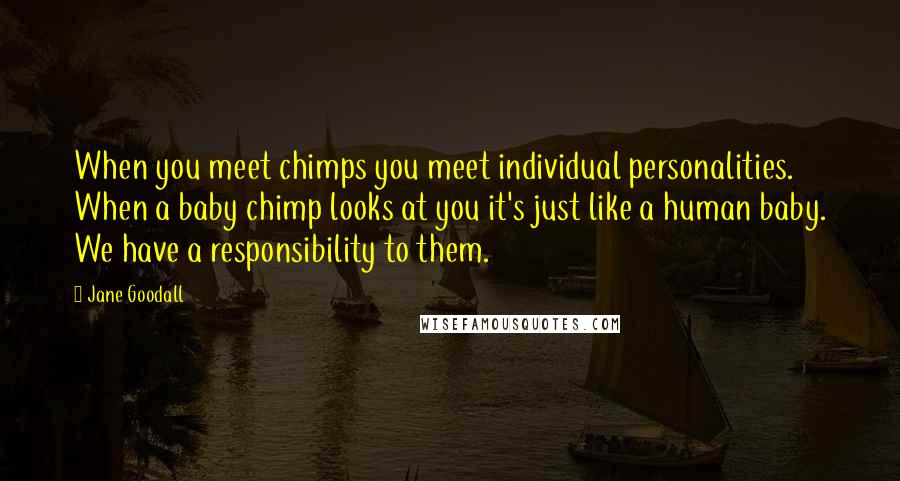 Jane Goodall Quotes: When you meet chimps you meet individual personalities. When a baby chimp looks at you it's just like a human baby. We have a responsibility to them.