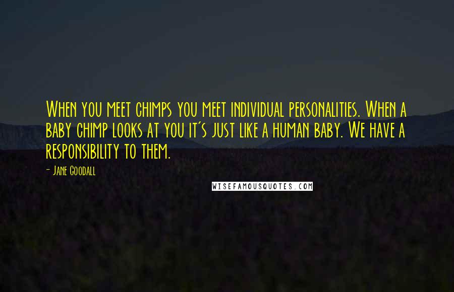 Jane Goodall Quotes: When you meet chimps you meet individual personalities. When a baby chimp looks at you it's just like a human baby. We have a responsibility to them.