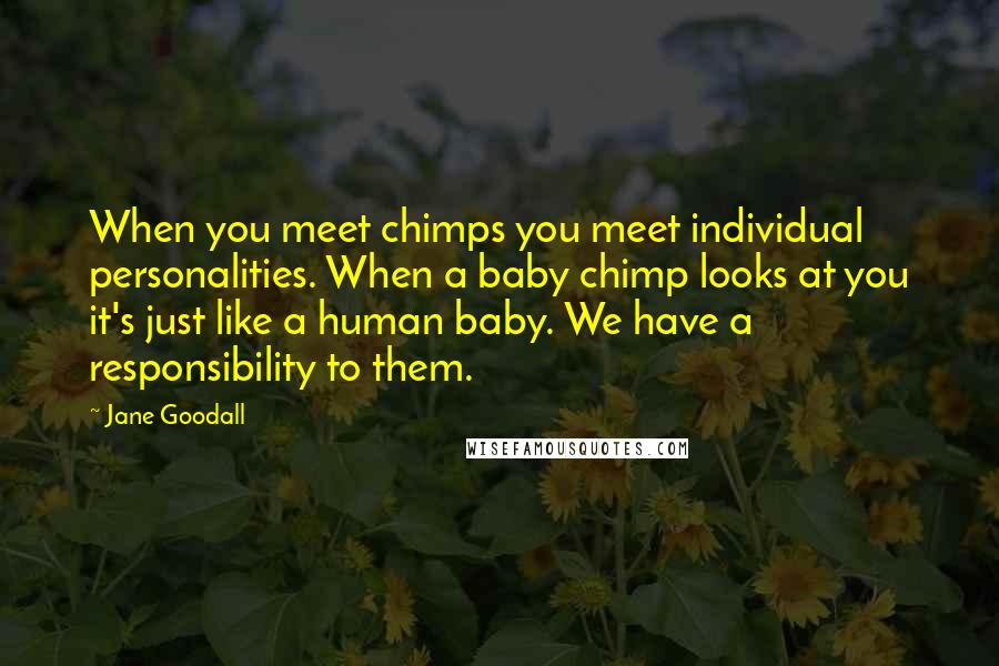 Jane Goodall Quotes: When you meet chimps you meet individual personalities. When a baby chimp looks at you it's just like a human baby. We have a responsibility to them.