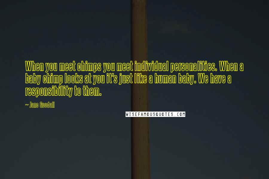 Jane Goodall Quotes: When you meet chimps you meet individual personalities. When a baby chimp looks at you it's just like a human baby. We have a responsibility to them.