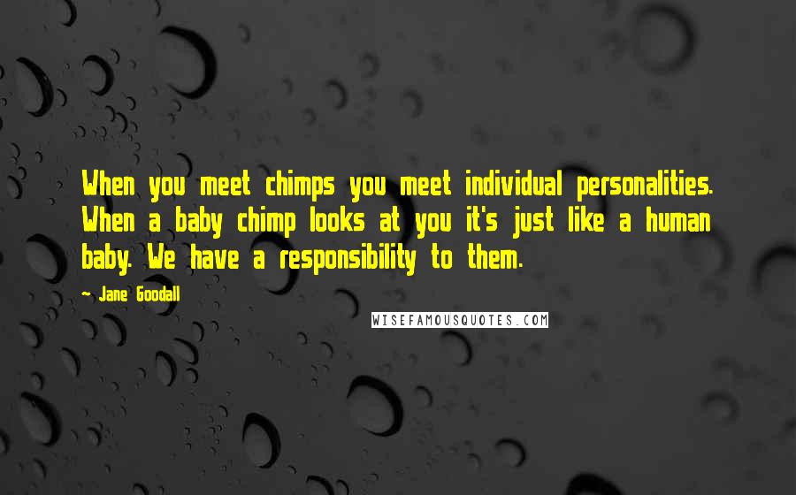 Jane Goodall Quotes: When you meet chimps you meet individual personalities. When a baby chimp looks at you it's just like a human baby. We have a responsibility to them.
