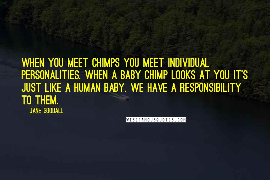 Jane Goodall Quotes: When you meet chimps you meet individual personalities. When a baby chimp looks at you it's just like a human baby. We have a responsibility to them.