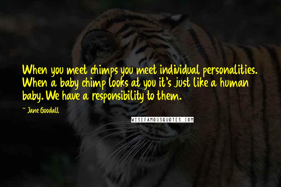 Jane Goodall Quotes: When you meet chimps you meet individual personalities. When a baby chimp looks at you it's just like a human baby. We have a responsibility to them.