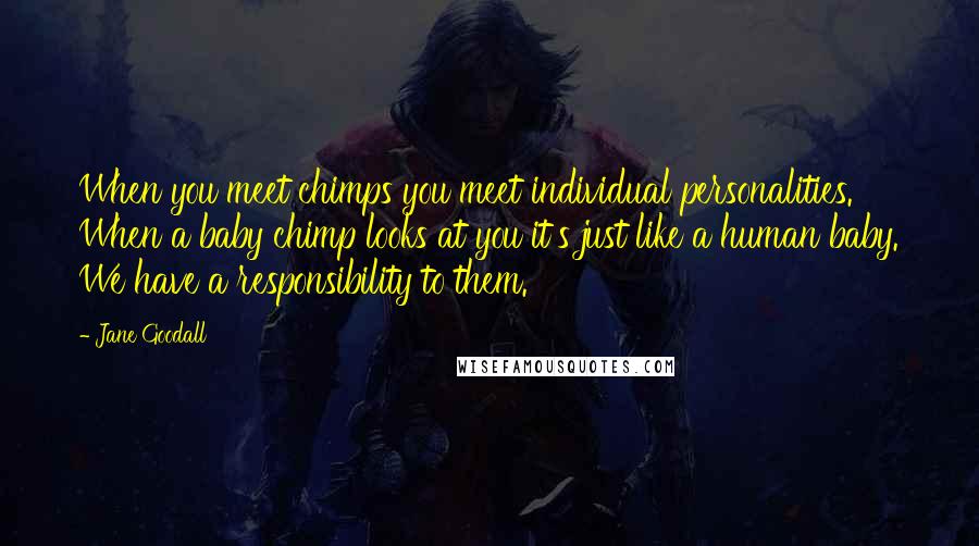 Jane Goodall Quotes: When you meet chimps you meet individual personalities. When a baby chimp looks at you it's just like a human baby. We have a responsibility to them.