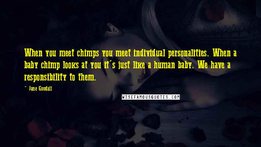 Jane Goodall Quotes: When you meet chimps you meet individual personalities. When a baby chimp looks at you it's just like a human baby. We have a responsibility to them.