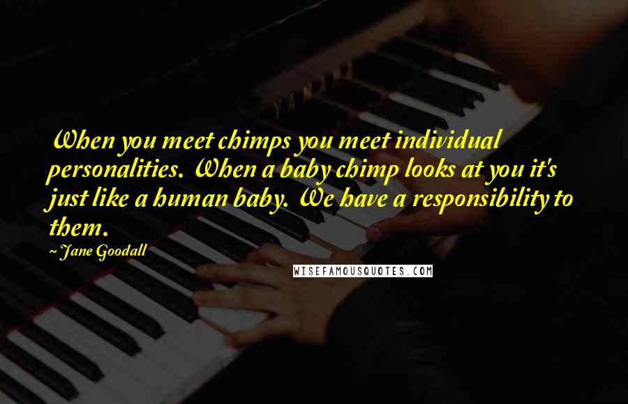 Jane Goodall Quotes: When you meet chimps you meet individual personalities. When a baby chimp looks at you it's just like a human baby. We have a responsibility to them.